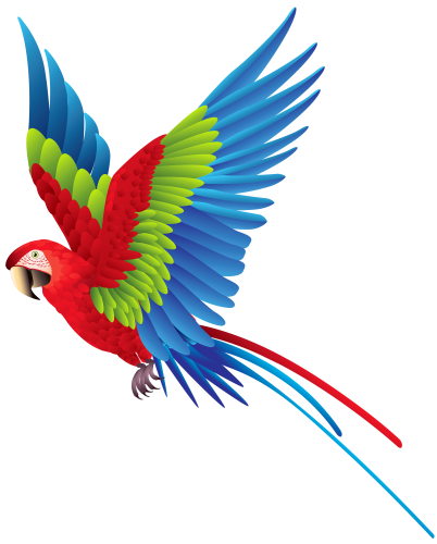 402x500 Collection Of Free Parrot Drawing Colorful Download On Ui Ex