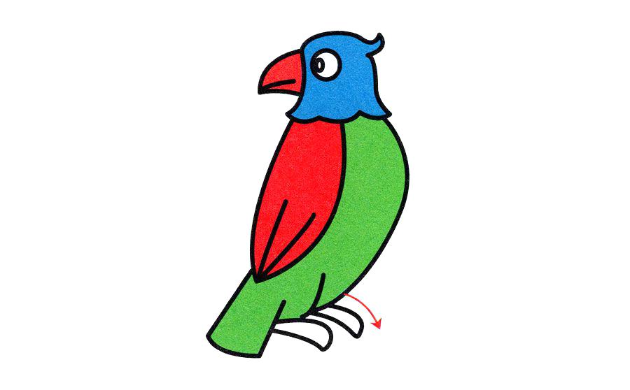 900x558 Easy Parrot Drawing Easy Parrot Drawing Easy Parrot Drawing Step