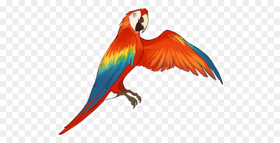 900x460 How To Draw A Macaw Collection Of Red Parrot Drawing Calendar