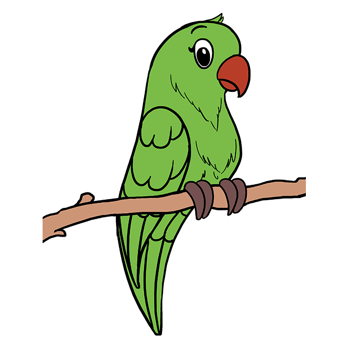 680x678 Huge Collection Of 'parrot Drawing' Download More Than Images