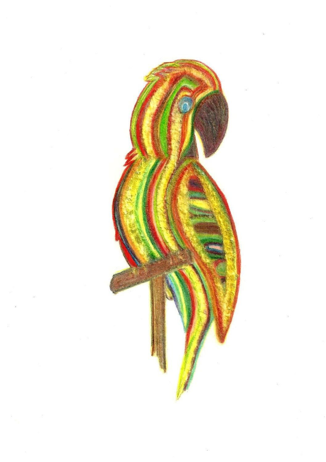 1057x1500 Parrot Of Caribbean Original Tri Color Pencil Drawing