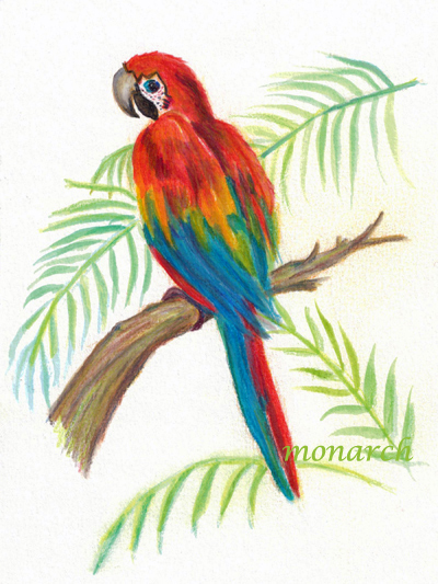 400x533 Parrot X Post Watermedia