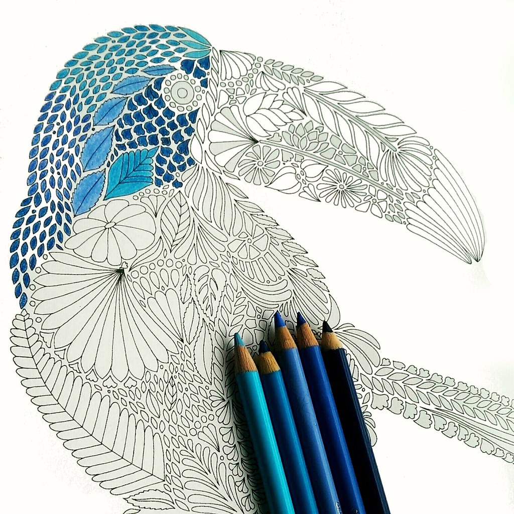 1024x1024 The World's Best Photos Of Parrot And Pencil