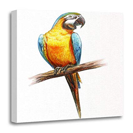 425x425 Emvency Canvas Prints Square Inches Colorful