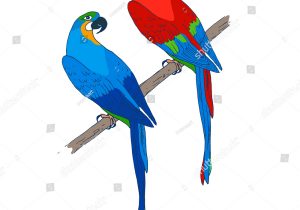 300x210 Beautiful Romantic Parrot Of Sketch Love Birds