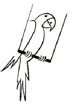 250x340 How To Draw Parrots Drawing Tutorials Drawing How To Draw