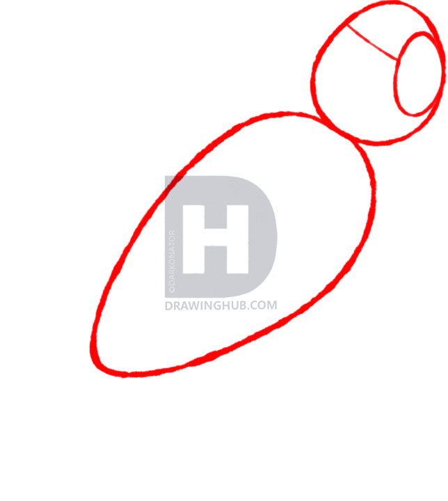 644x720 How To Sketch A Parrot, Step