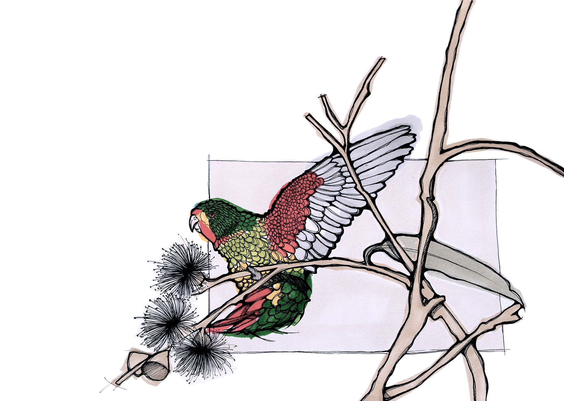 1973x1403 Pantone Sketch