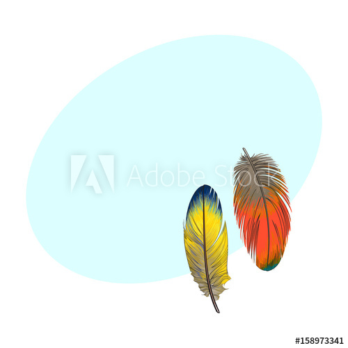 500x500 Two Hand Drawn Smoth Orange And Yellow Tropical, Exotic Bird