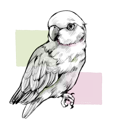 400x422 Bird Sketches Tumblr