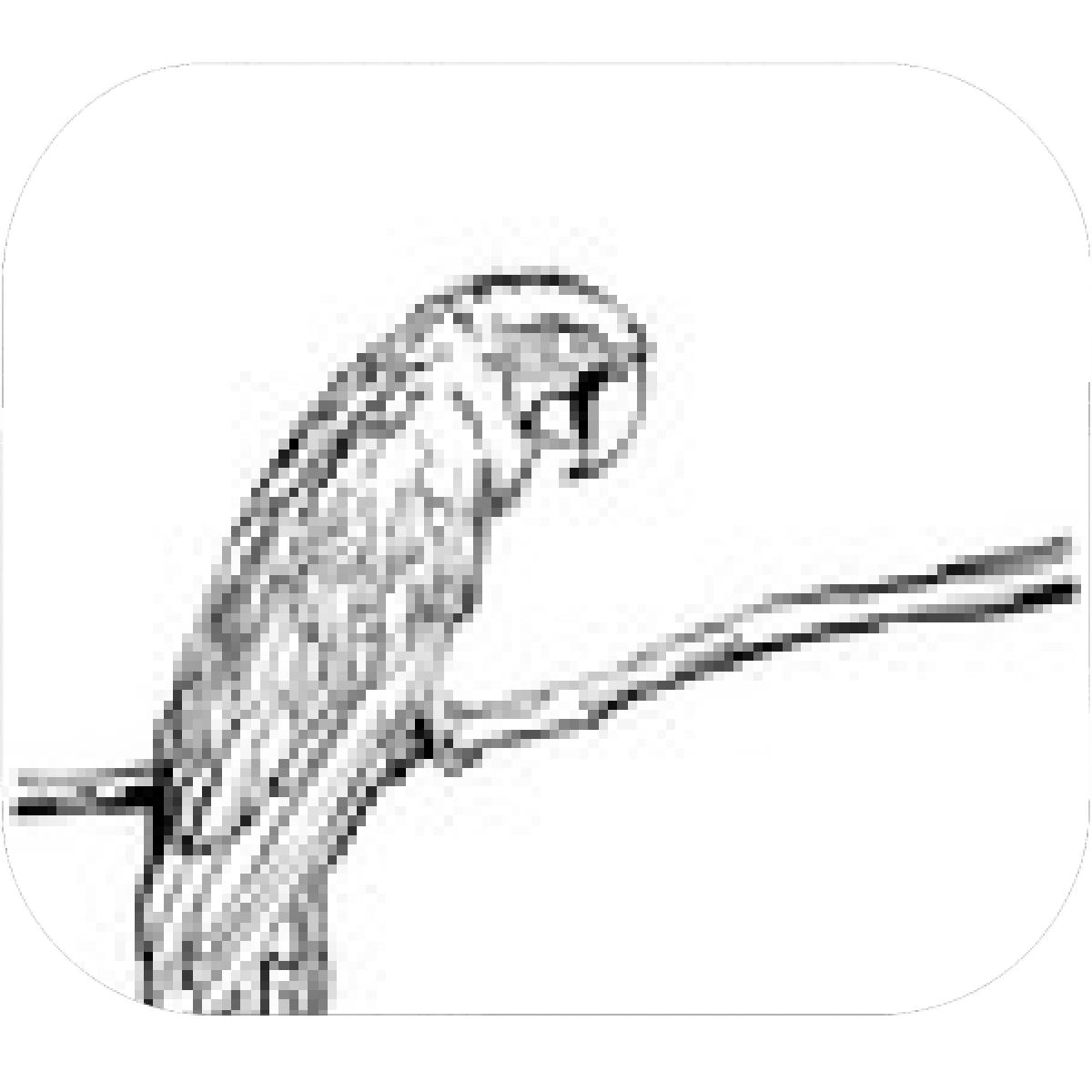 1200x1200 Designs Mein Mousepad Design Mousepad Selbst Designen