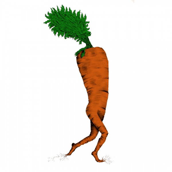 600x600 matthew burne illustration