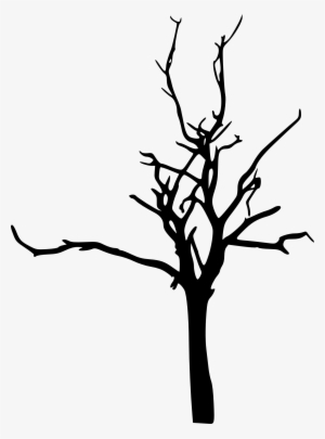 300x405 Tree Drawing Png, Transparent Tree Drawing Png Image Free Download