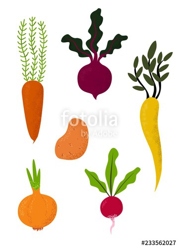 361x500 Vector Set Of Hand Drawn Fresh Vegetables