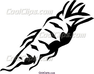 300x238 Parsnip Vector Clip Art