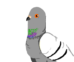300x250 particle pigeon