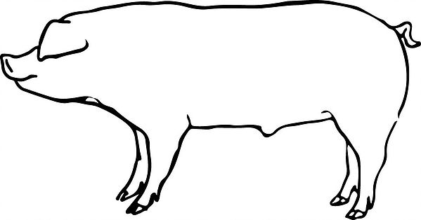 599x314 Cutterranch Partners