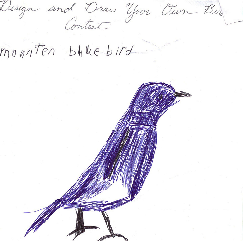 1011x1000 Draw Your Own Pacifica Garden