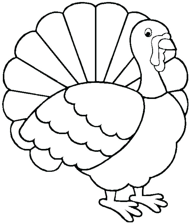 736x861 Turkey Drawing Outline Turkey Architecture Synonym And Antonym