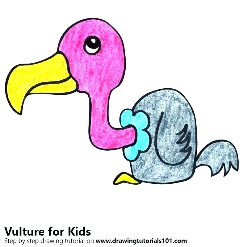 800x800 How To Draw A Vulture