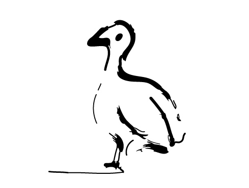 489x371 Bach's Partridge Darren Allen