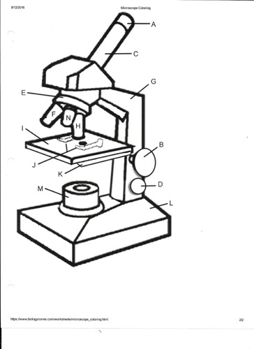 364x500 Parts Of The Microscope