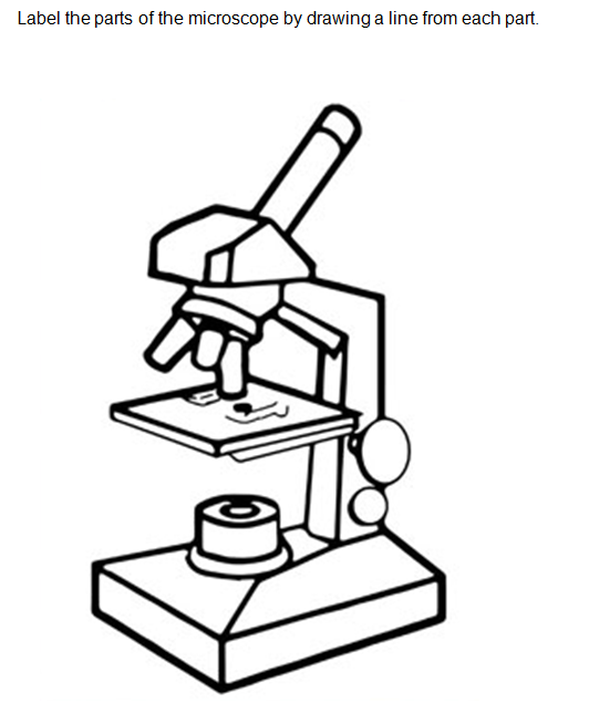 532x644 Science September