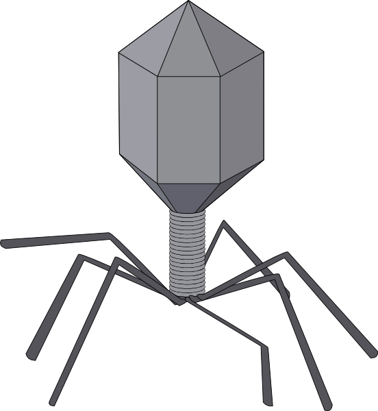 552x600 Unlabeled Microscope Diagram Group With Items