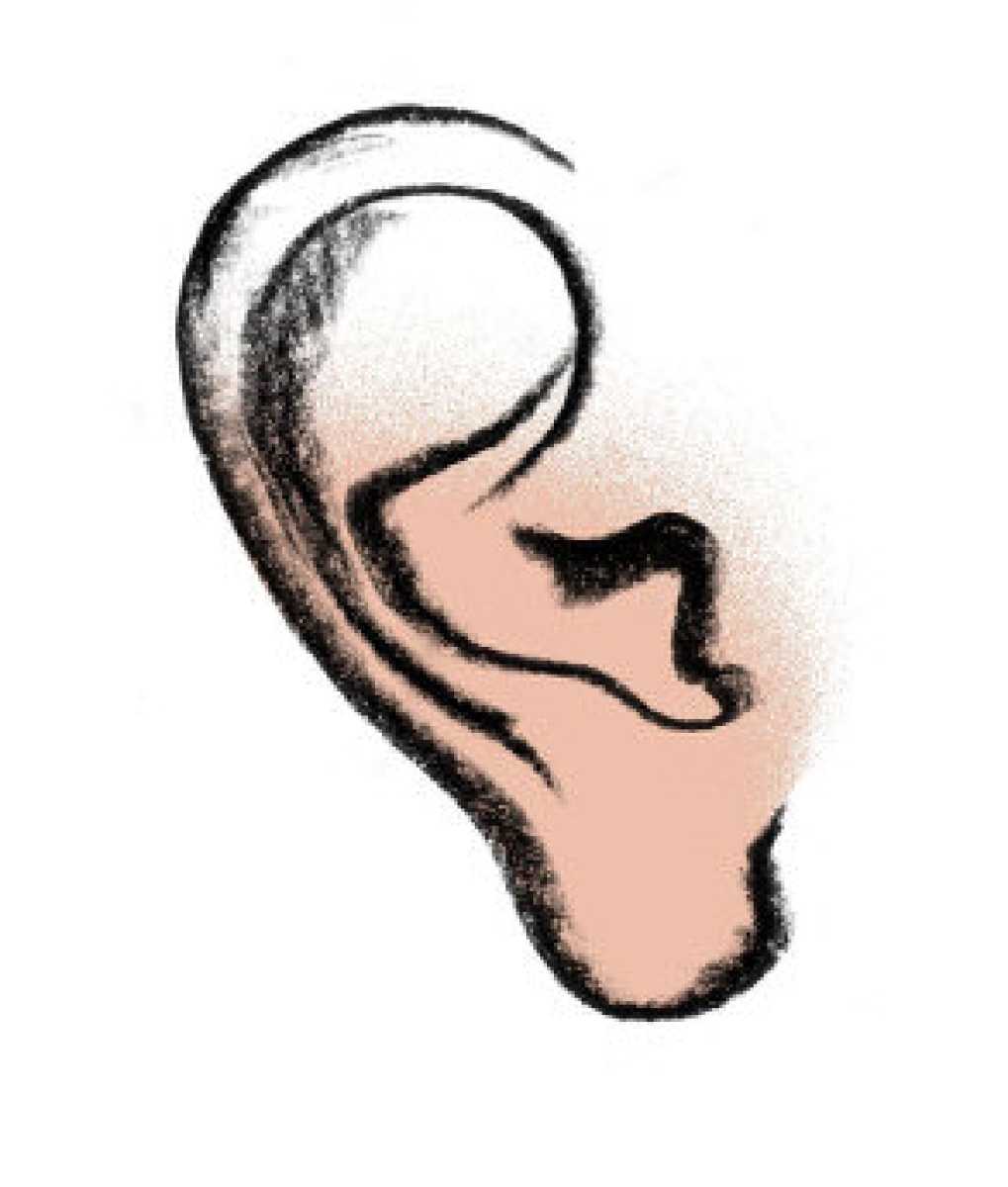 1019x1200 Earlobe Fascinating Facts About Body Parts The Star