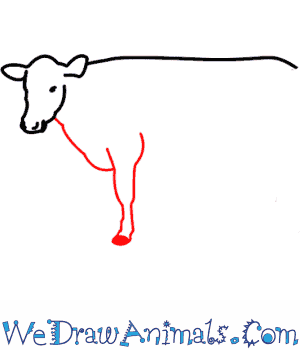 300x350 How To Draw A Cow
