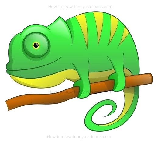520x475 draw a chameleon chameleon draw images