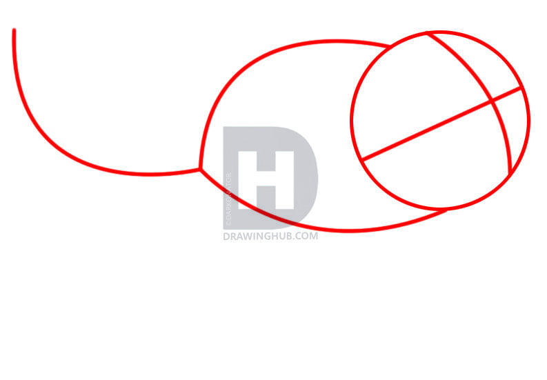 793x551 How To Draw Pascal, Step