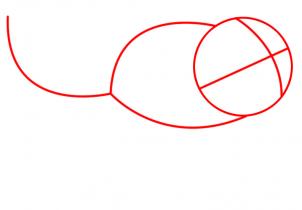 302x210 How To Draw Pascal, Step