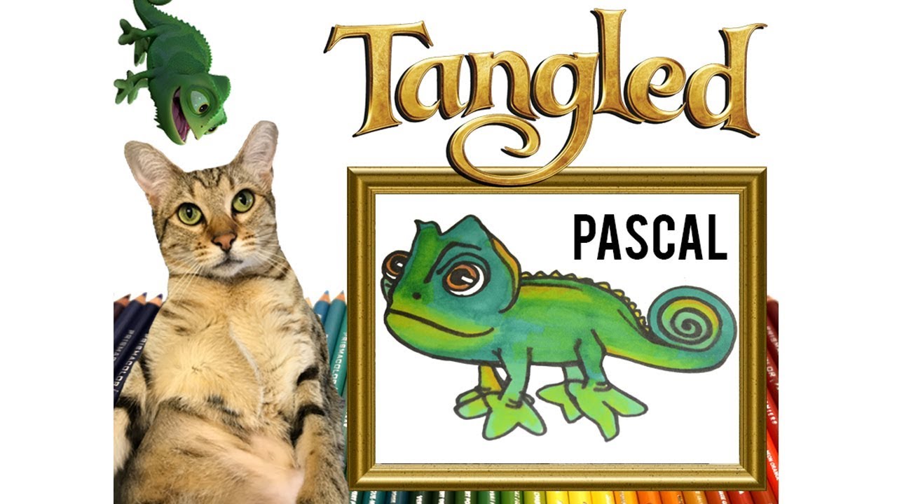 1280x720 How To Draw Pascal The Chameleon From Tangled With The Coloring