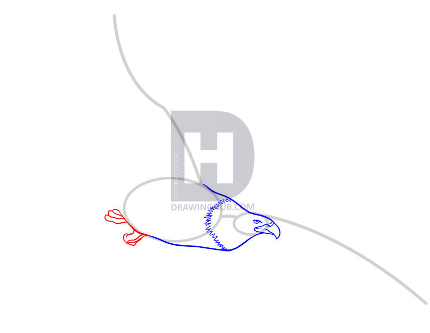 854x661 How To Draw An Eagle, Step