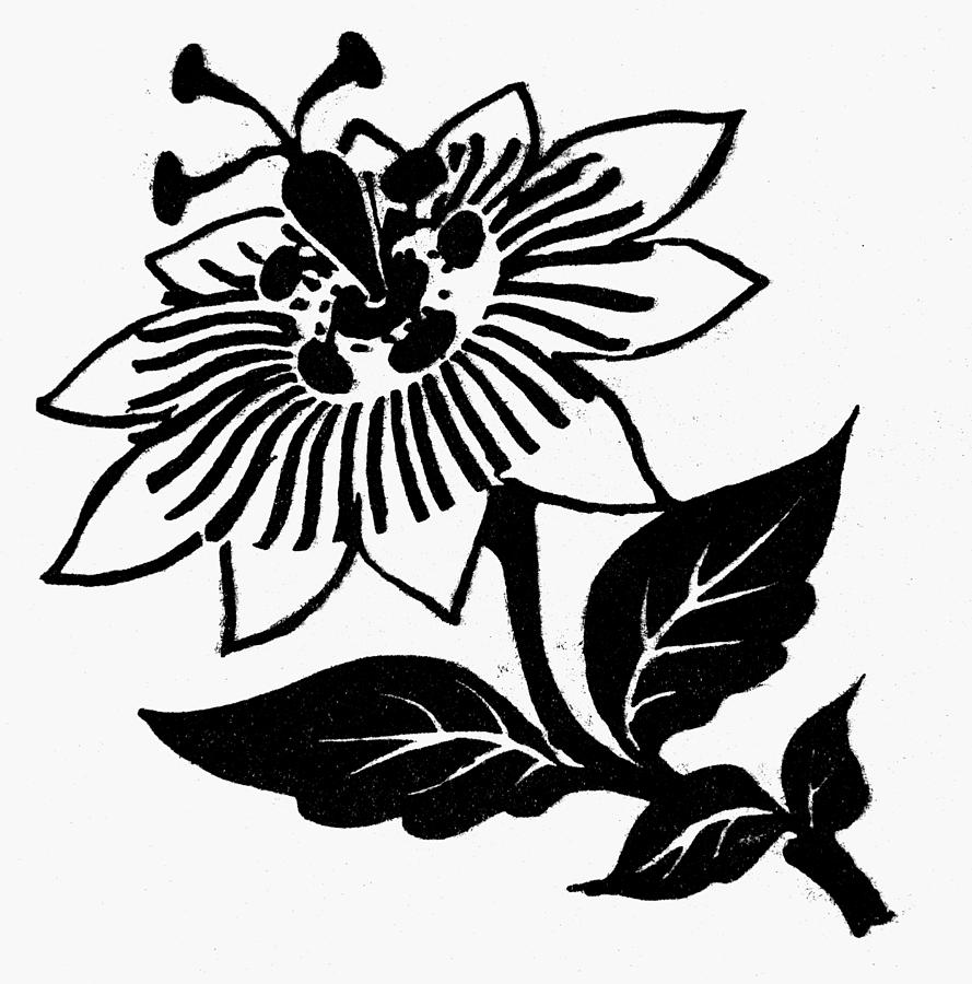 889x900 Symbol Passion Flower Drawing