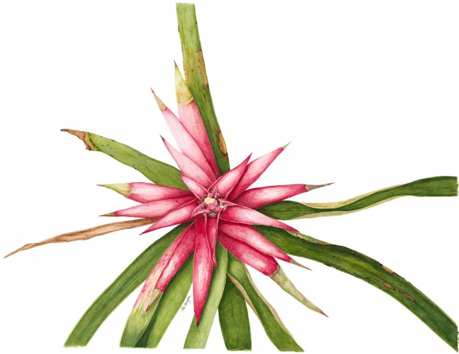 1500x1160 Art Exhibition