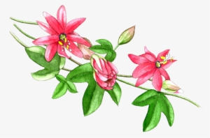 300x198 Watercolor Flowers Png Images Png Cliparts Free Download On Seekpng