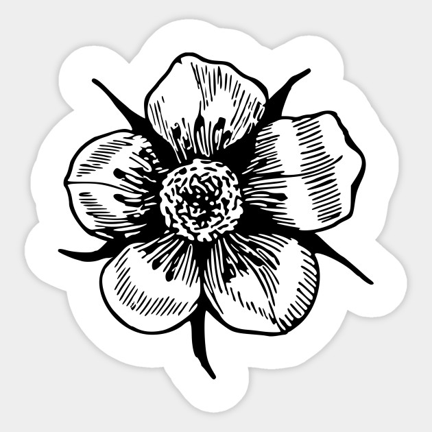 630x630 Flower Drawing