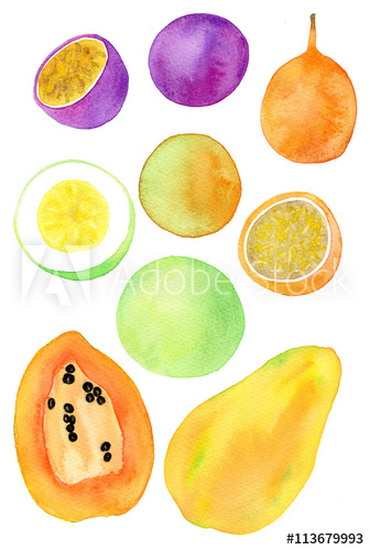 336x500 Exotic Fruits Illustration Hand Drawn Set Of Fruit