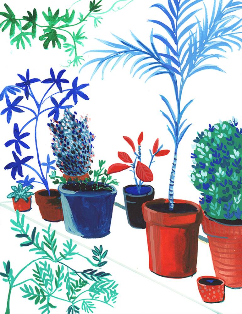 770x999 House Plants No With Passionfruit Plant Drawing