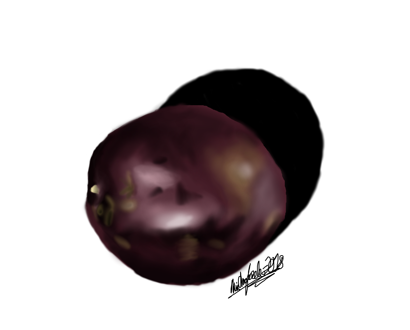 1552x1248 Still Life Drawing Of A Passion Fruit