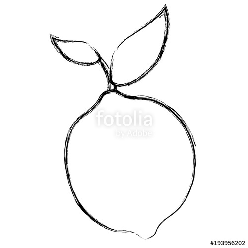 500x500 Tropical And Exotic Passion Fruit Vector Illustration Design