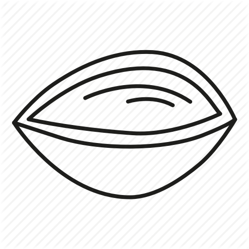 512x512 Food, Macaroni, Pasta, Products, Shell Icon