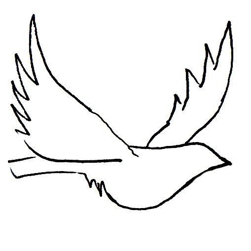 509x509 Bird Image Simple To Draw Or Cut Paste Birds Collage