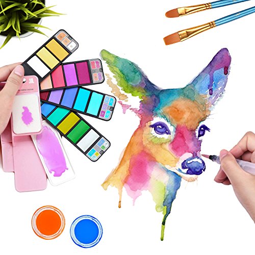 500x500 Dyvicl Watercolor Paint Set