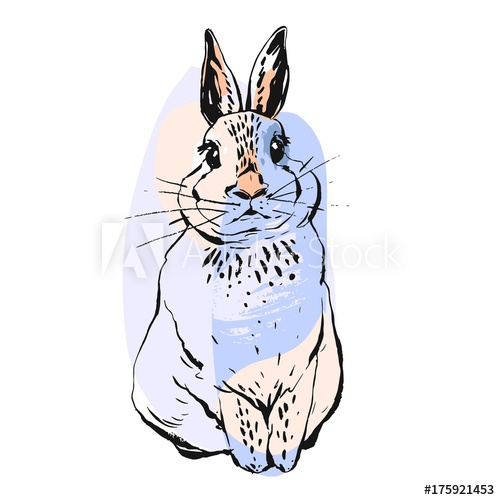 500x500 Hand Drawn Vector Abstract Realistic Drawing Bunny Illustration