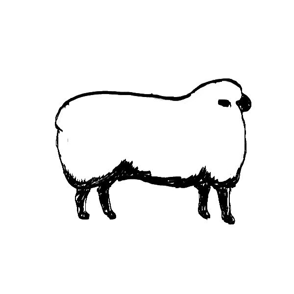 600x600 Punkin's Patch Draw A Sheep