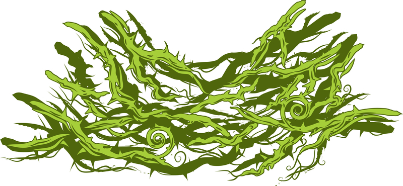 800x370 The Briar Patch Part Tammy Blackburn