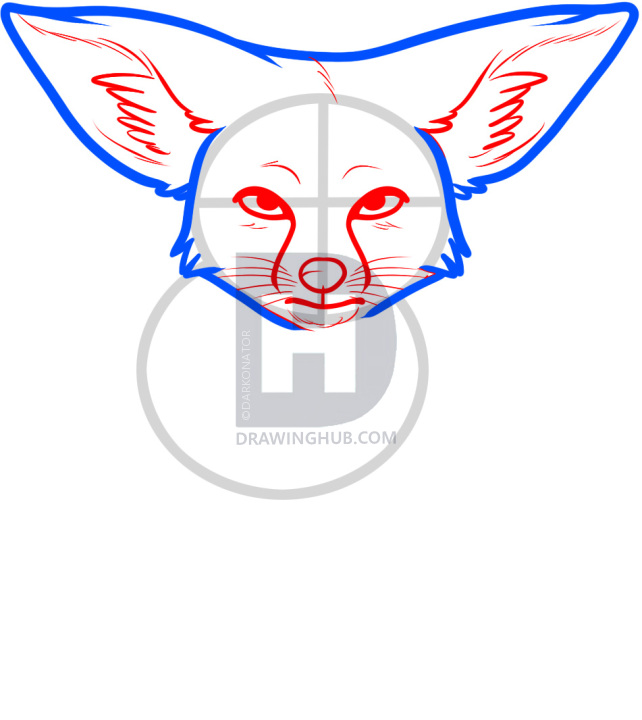 642x720 how to draw a kit fox, kit fox, step